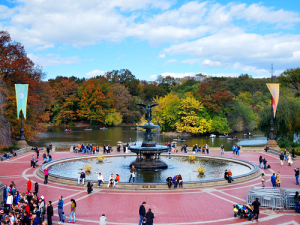 Fontanna Central Park