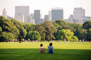 Azyl Central Park