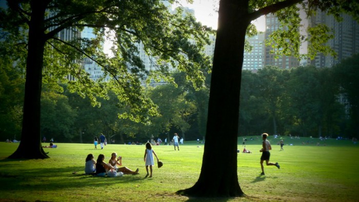 Central Park 2