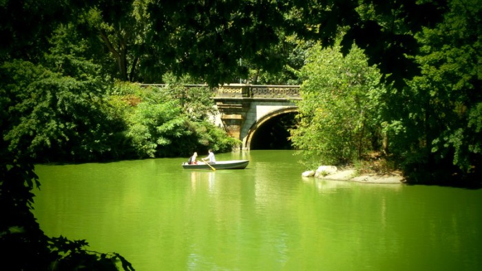 Central Park 3