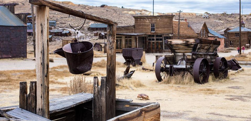 bodie