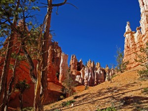 bryce-kanion