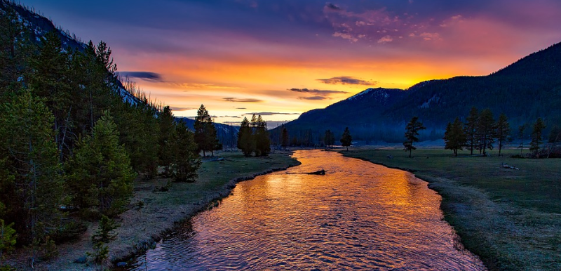 yellowstone